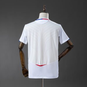 Olympique Lyon 2008/09 Local
