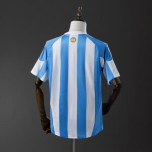Argentina Mundial 2010 Local