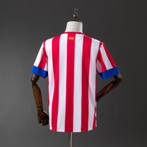 Atlético de Madrid 2012/13 Local