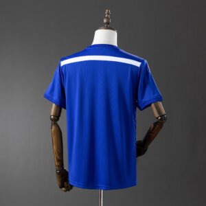 Chelsea 2014/15 Local
