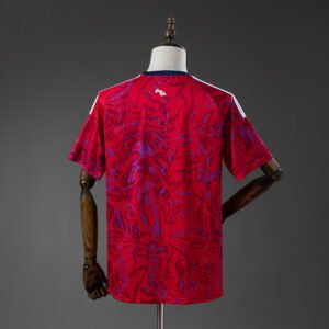 Costa Rica Mundial 2026 Local
