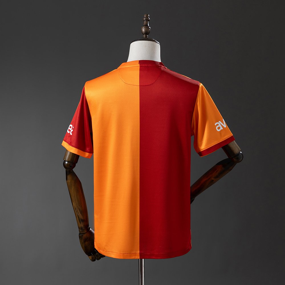 Galatasaray 2013/14 Local - Imagen 2