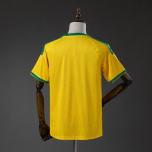 Sudáfrica Mundial 2026 Local